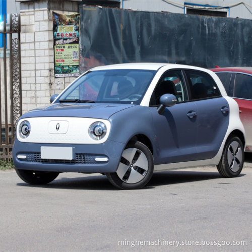 Low Speed Electric Car for Adult